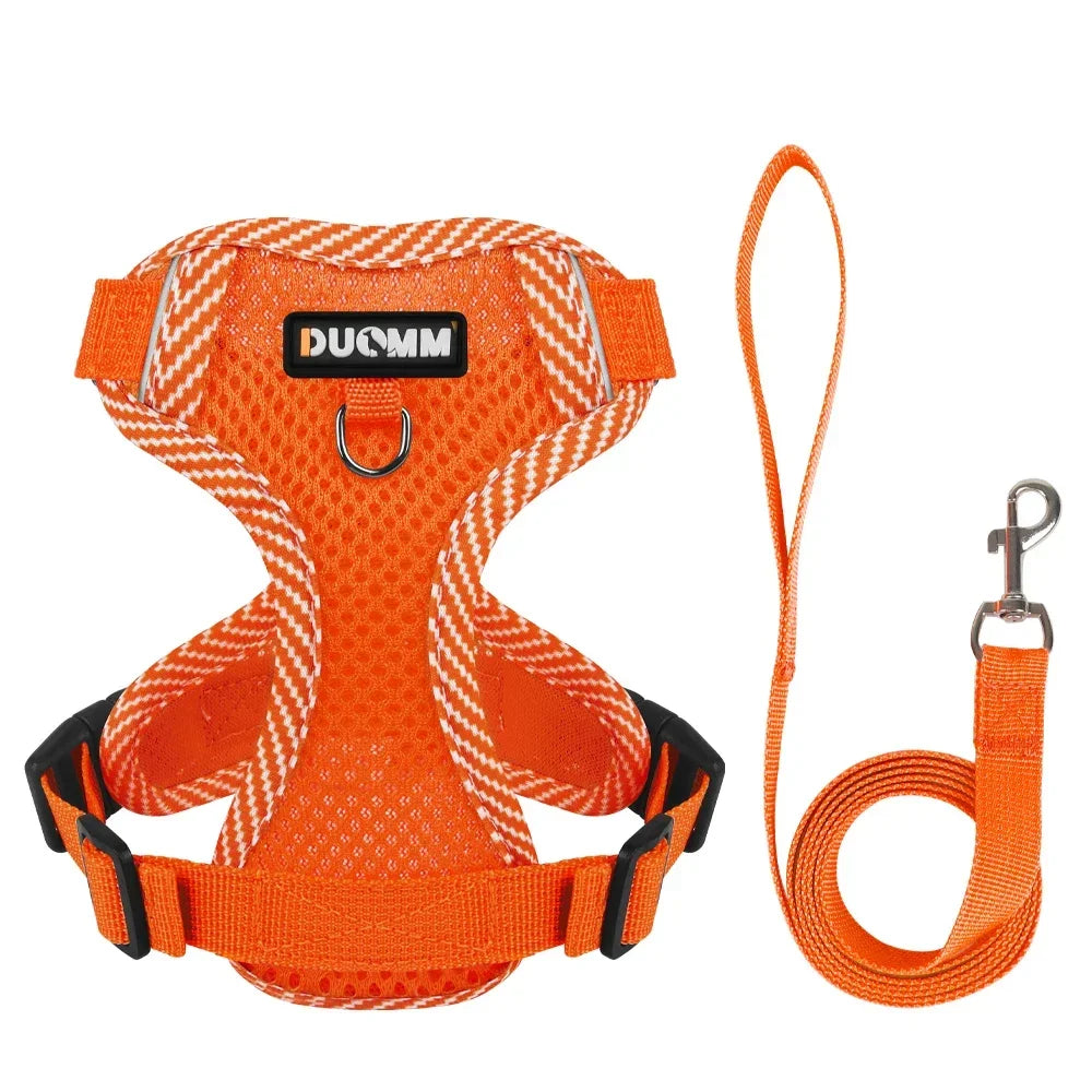 Reflective Adjustable Dog Harness & Leash Set