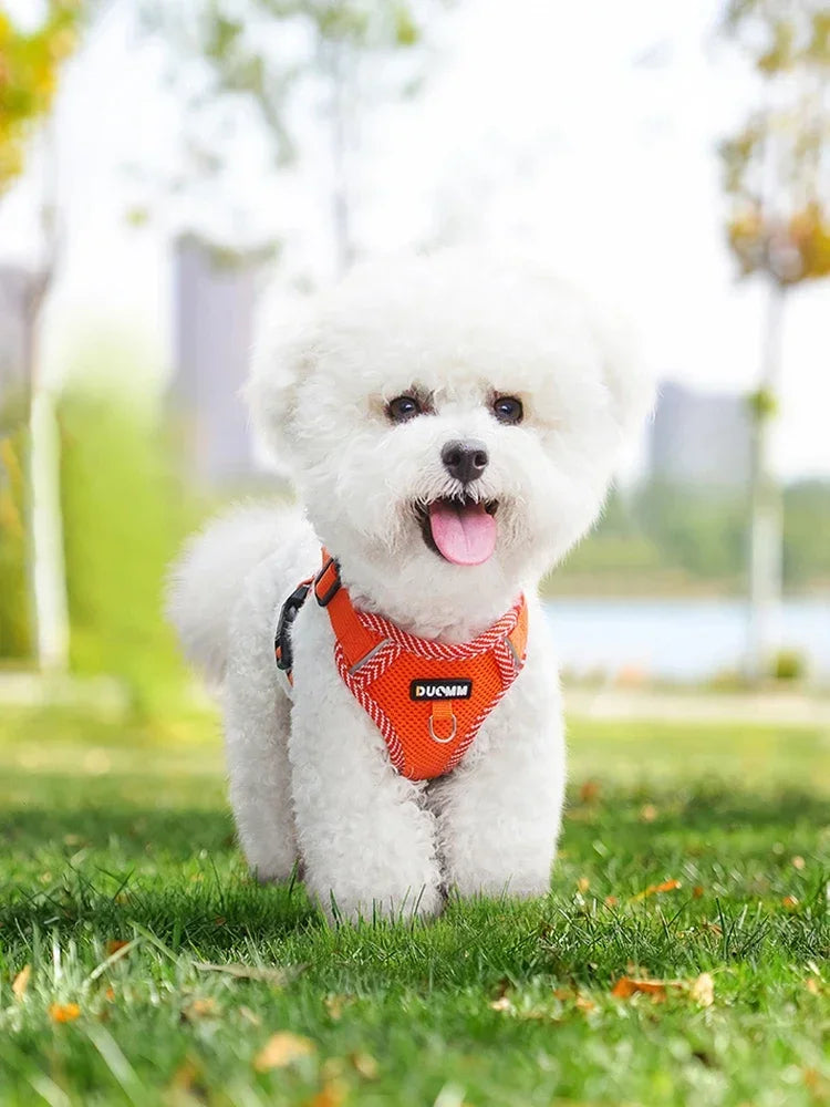 Reflective Adjustable Dog Harness & Leash Set