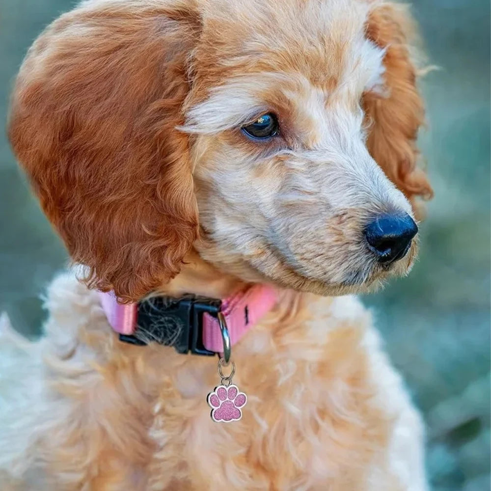 Personalized Pet ID Tag - Engraved Name & Contact