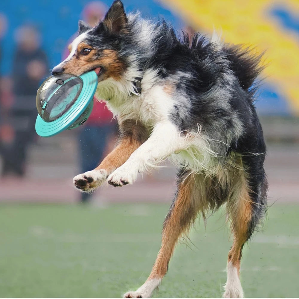 Interactive Treat Dispenser Toy for Dogs & Cats
