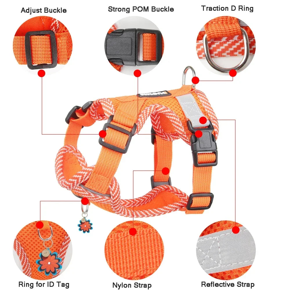 Reflective Adjustable Dog Harness & Leash Set