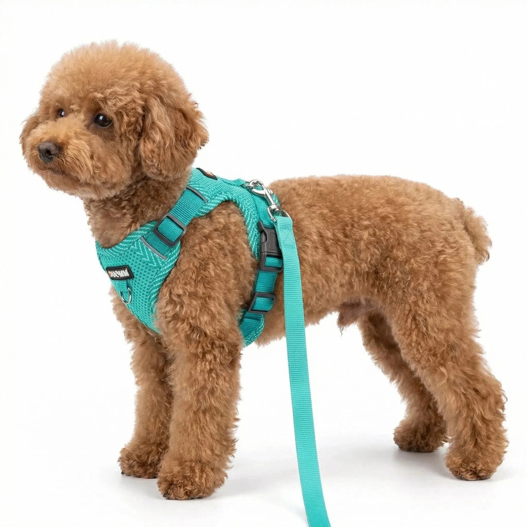 Reflective Adjustable Dog Harness & Leash Set
