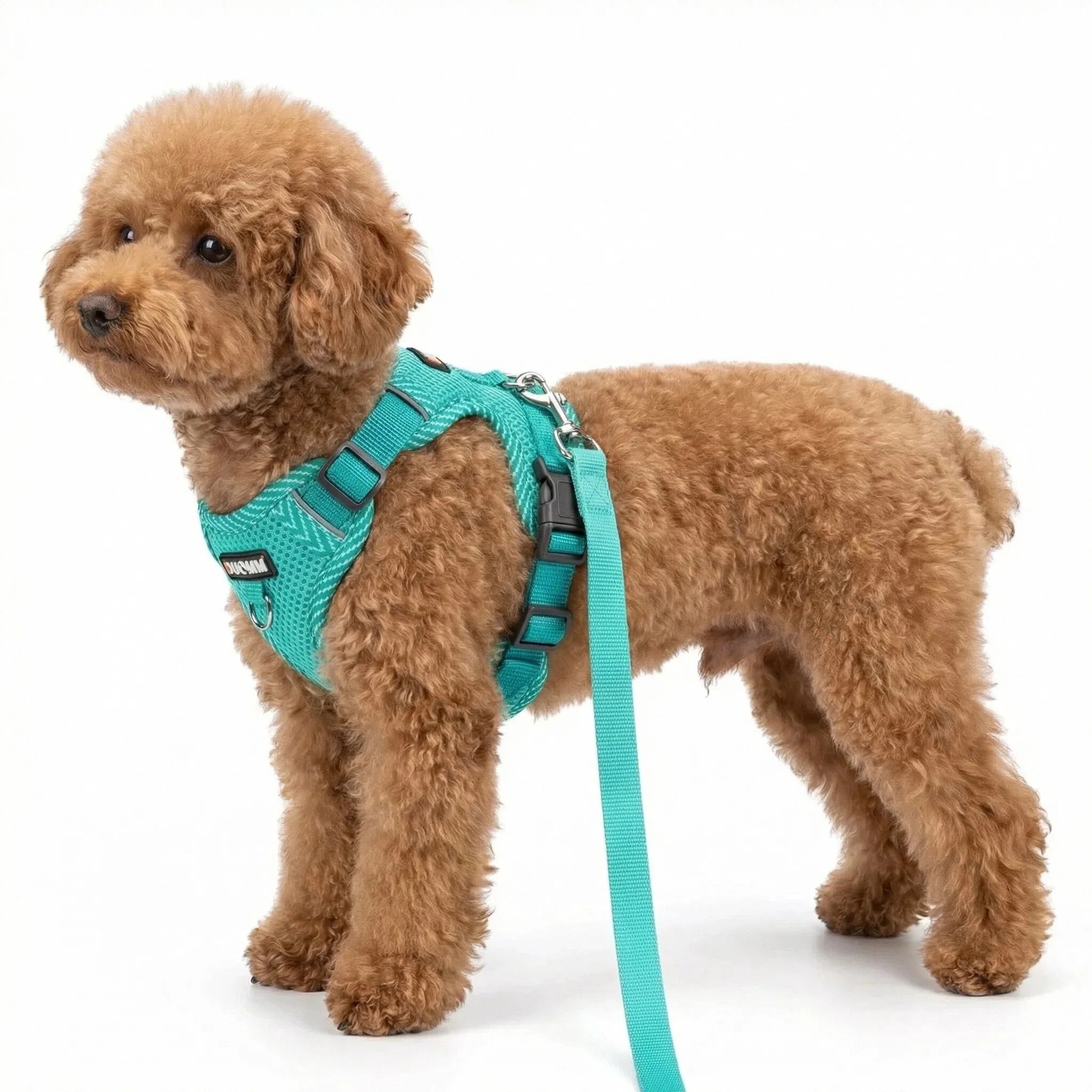 Reflective Adjustable Dog Harness & Leash Set